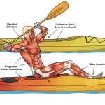 What Muscles Does Kayaking Work